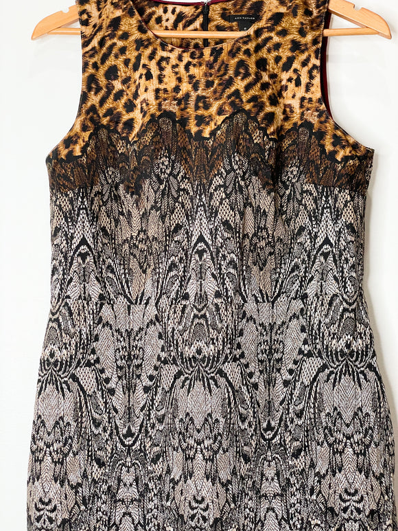Ann Taylor Leopard Print Dress | Size Women's 8
